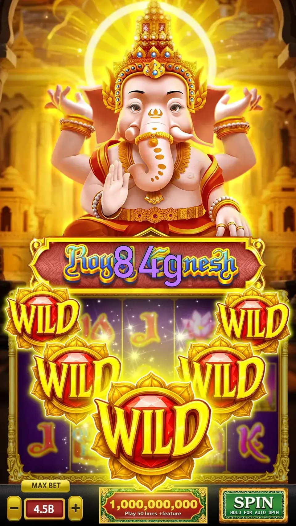 84g Login